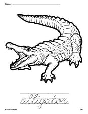 Free printable alligator coloring page and cursive word tracing worksheet, perfect for preschool, pre-k, and kindergarten, PDF