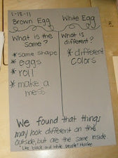 MLK Day Egg Experiment