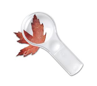 Dual Lens Magnifiers