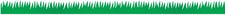 Green Grass Bulletin Board Border