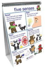 Flip Charts All About Me Early Childhood Science Readiness