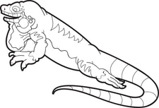 Lizard Coloring Page #3