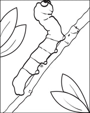 Cartoon Caterpillar Coloring Page #2