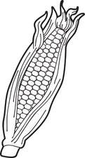 FREE Printable Ear of Corn Coloring Page for Kids