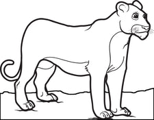 Female Lion Coloring Page