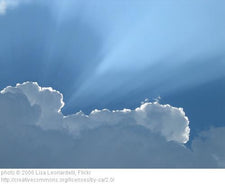 Harnessing the Sun's Rays for Cooking