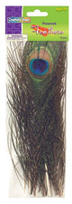 Peacock Feathers - 12 Pack