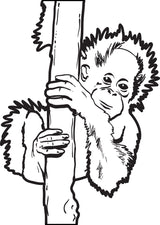 Baby Orangutan Coloring Page