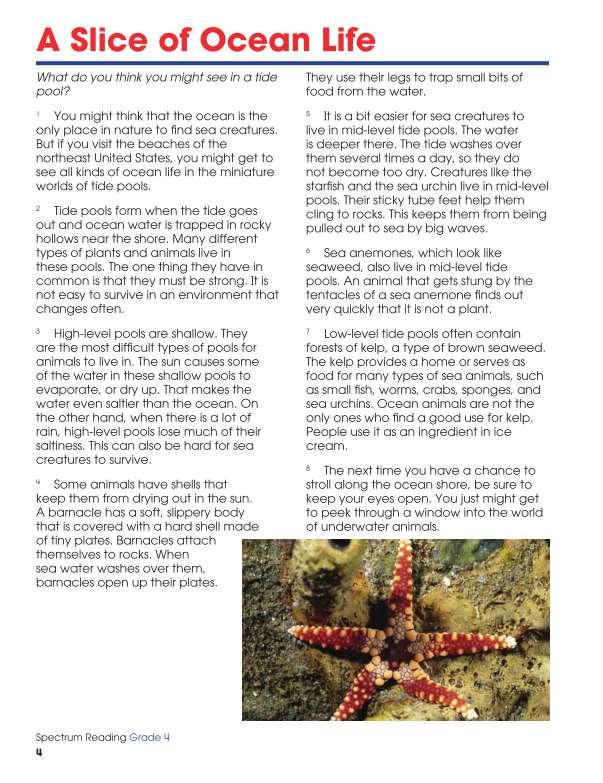 Spectrum Reading Workbook, Grade 4