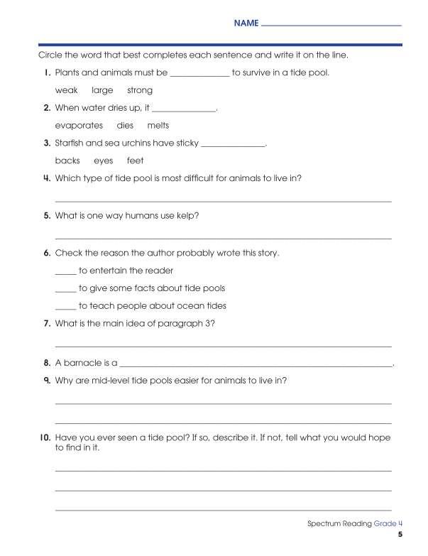 Spectrum Reading Workbook, Grade 4