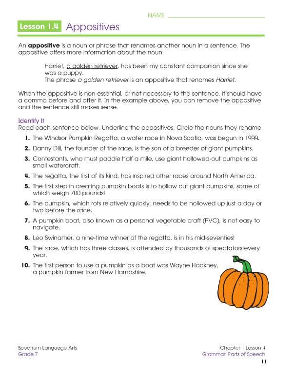 Spectrum Language Arts Workbook, Grade 7
