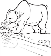 Bear Catching a Fish Coloring Page