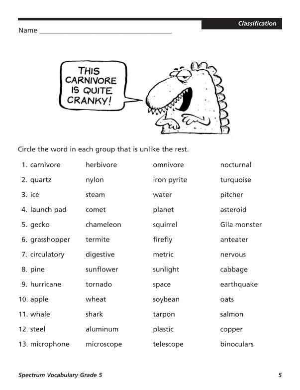 Spectrum Vocabulary Workbook, Grade 5