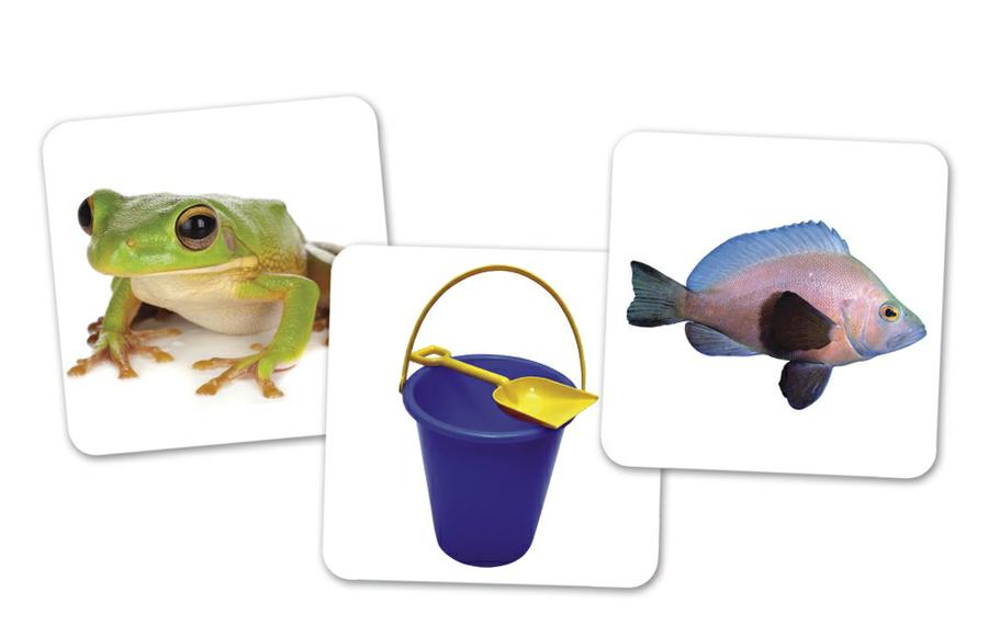 Vowel Owls™ Sorting Set