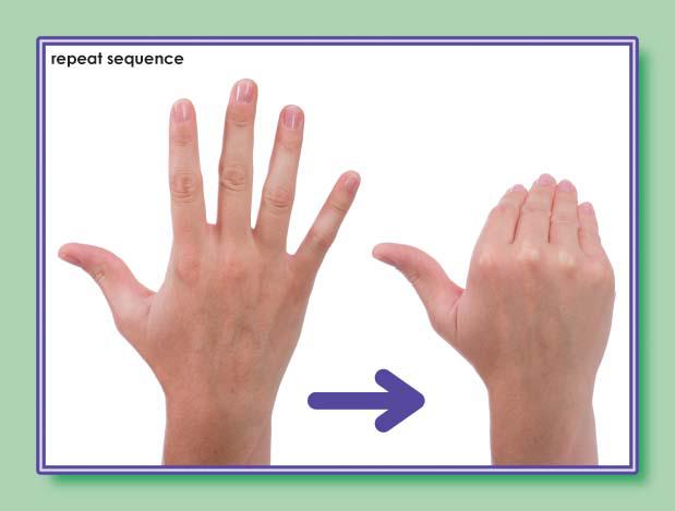 American Sign Language Number Cards (0-30)