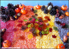 5 - Fabulous! - Fall Sensory Bins