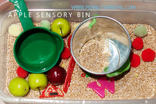 Back-To-School Sensory Bins