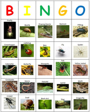 Bug BINGO!