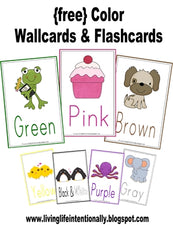 Color Wall Cards & Flash Cards