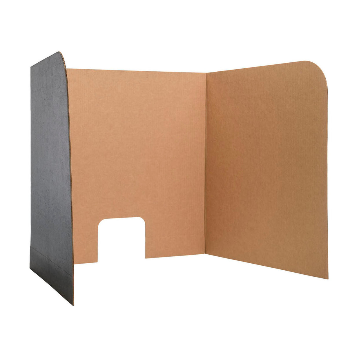Flipside Large Computer Lab Privacy Screen, 12 Pack