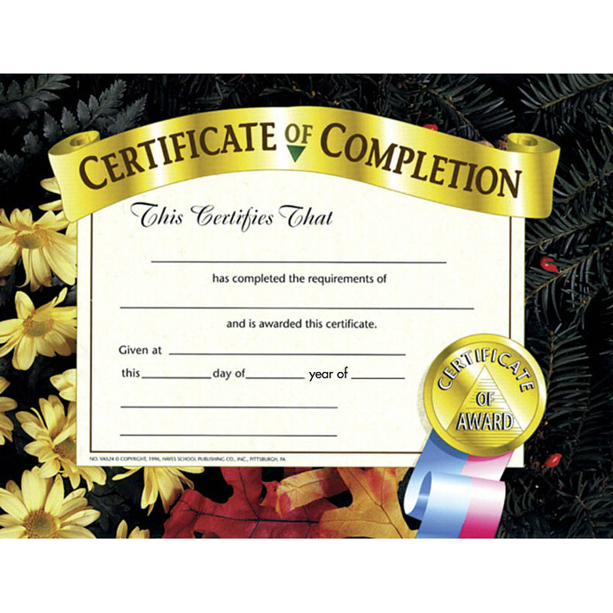 Hayes School Publishing Certificate of Completion 2