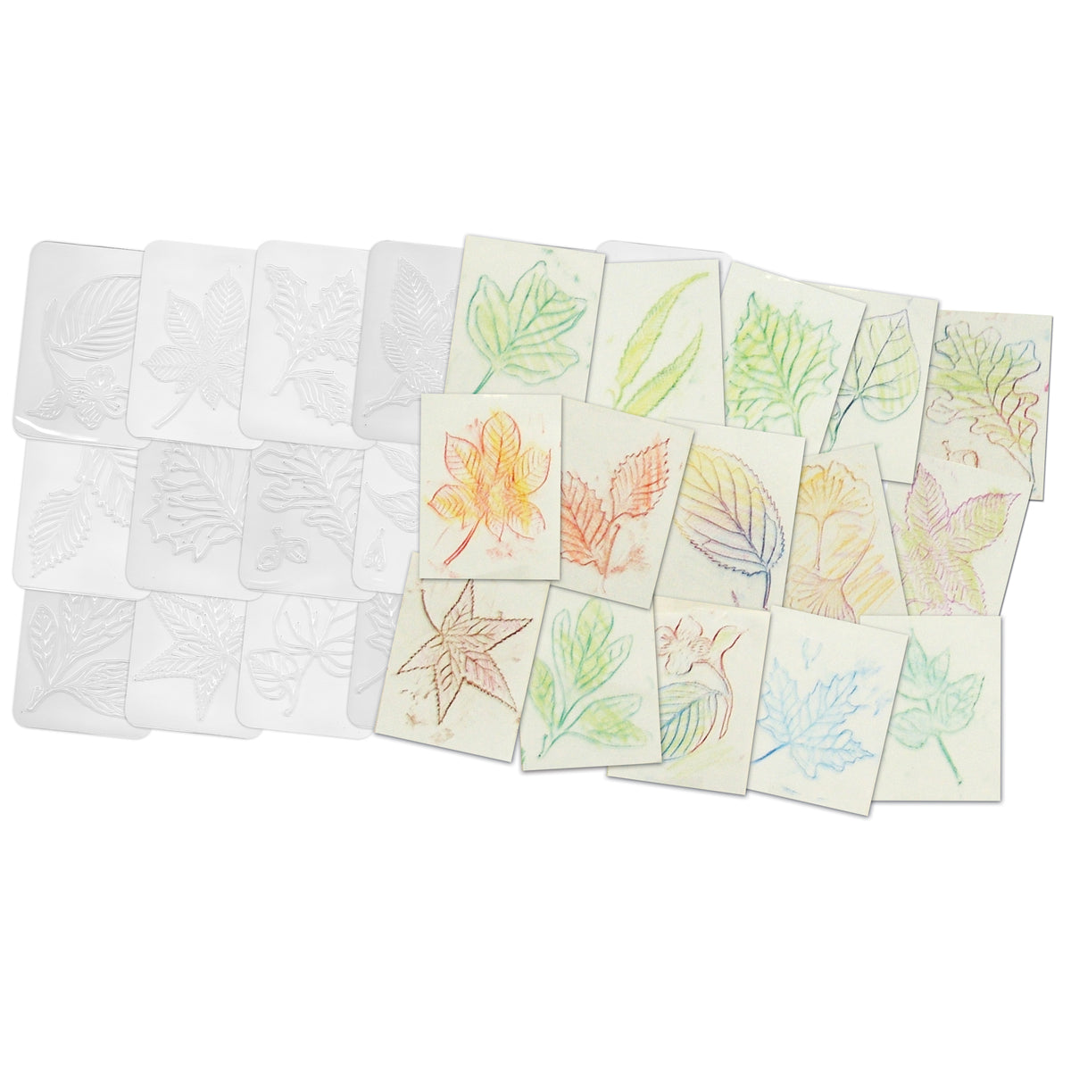 Roylco® Rubbing Plates Leaf