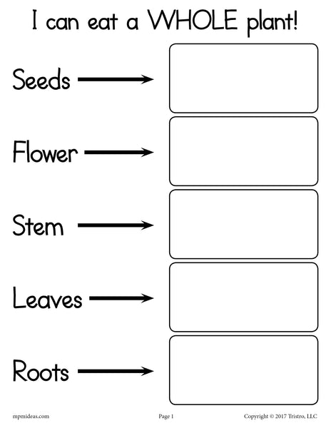 we eat seeds of which plant Spring Plant Unit