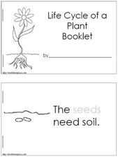 How Do Plants Grow?