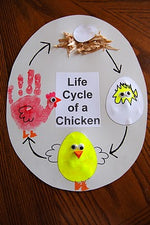Easter Craftivity - The Life Cycle of a Chicken