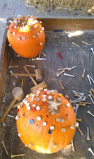 Pumpkins + Golf Tees = Loads of Fall Fun!