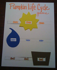 Pumpkin Life Cycle Game
