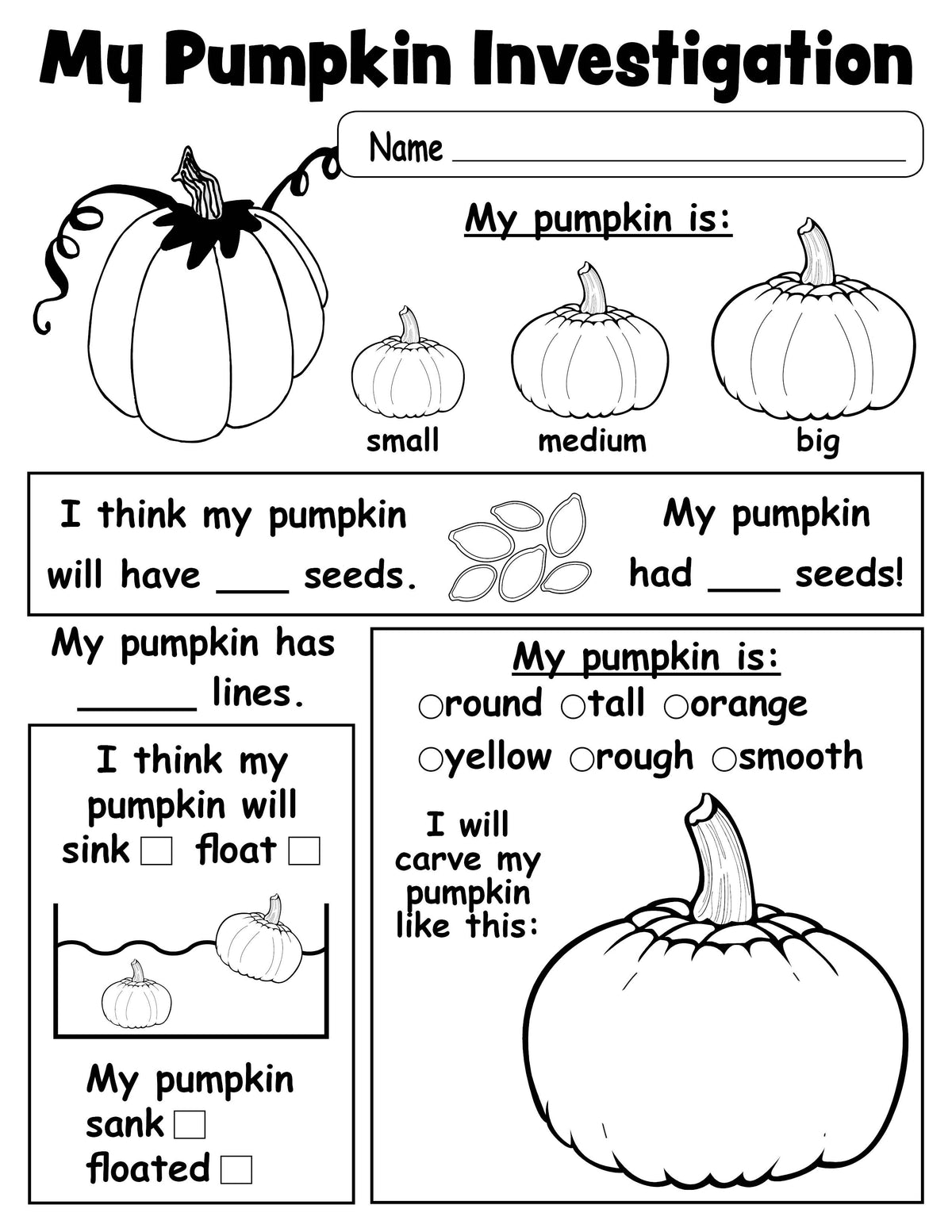 Pumpkin Investigation Worksheet - FREE Printable!
