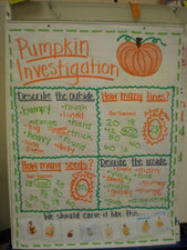 Fall Science - Investigating Pumpkins