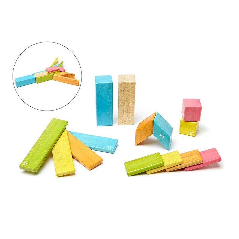 14-Piece Set, Tegu Tints