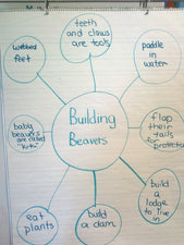 Building Beavers - Ideas for Story Review