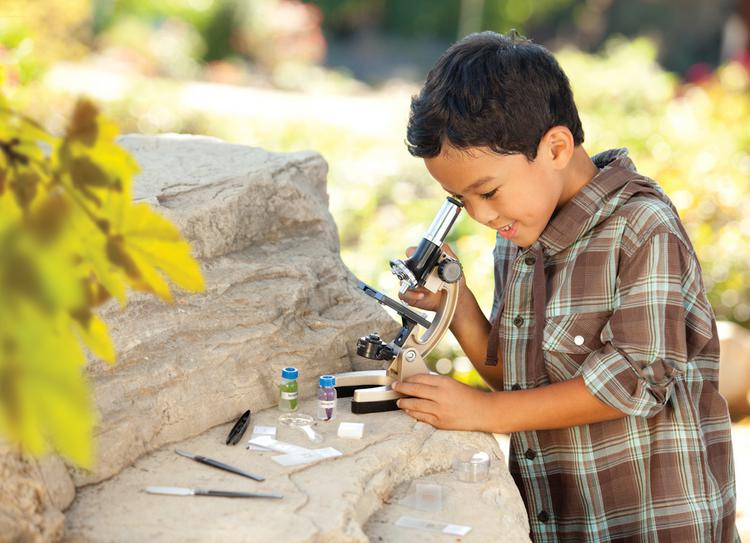 Economy Classroom Microscope Set Gr 3 & Up