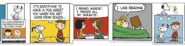 Peanuts® Comic Blocks Bulletin Board Border, Straight