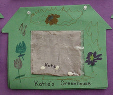 Growing Plants in Kindergarten