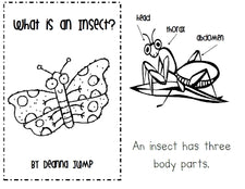 Spring Insect Unit - 2 Fun Emergent Readers!