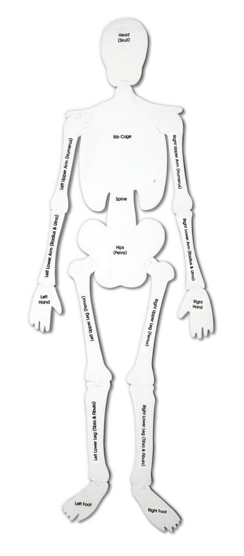 Skeleton Foam Floor Puzzle