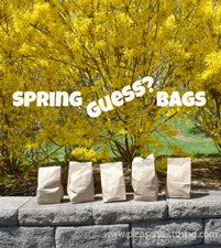 Spring Guess Bags