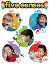 Five Senses Learning Chart