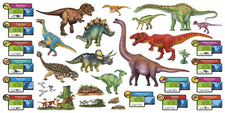 Discovering Dinosaurs™ Bulletin Board Set