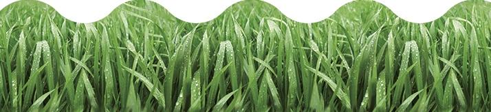 Grass Terrific Trimmers®