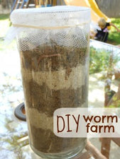 Summer Science - Build A Worm Farm!