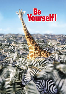 Safari