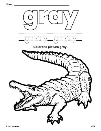 Free alligator color gray coloring page and color worksheet, gray worksheet for preschoolers to learn colors, printable PDF