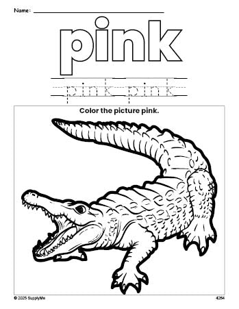 Free alligator color pink coloring page and color worksheet, pink worksheet for preschoolers to learn colors, printable PDF