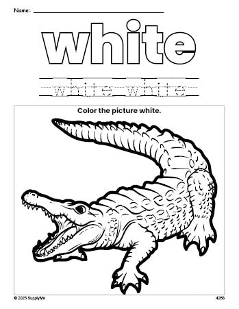 Free alligator color white coloring page and color worksheet, white worksheet for preschoolers to learn colors, printable PDF