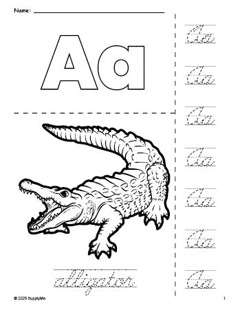 Free printable alligator coloring page and cursive letter tracing worksheet, letter a worksheet for preschool, pre-k, and kindergarten, PDF
